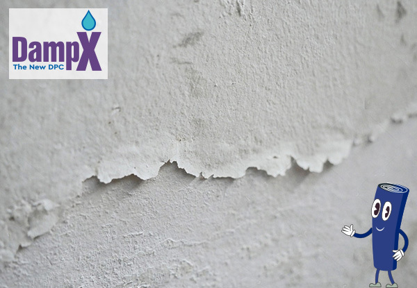DampX